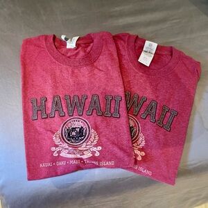 Gildan Hawaii Graphic Tee Bundle (2)